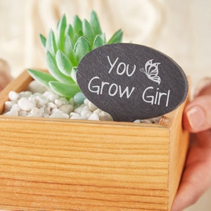 Puede incluir: Una pequeña maceta de madera con una planta suculenta y un letrero de pizarra negra que dice "You Grow Girl" con un gráfico de mariposa.