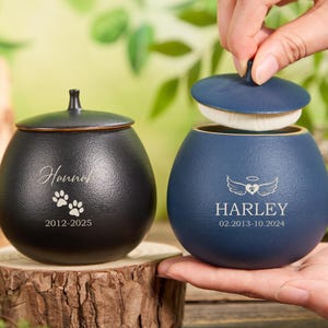 Custom Pet Paw Urn Cat with Name and Date,Modern Pet Ashes Cremation Urn,Personalized Pet Urns for Dogs Cats,Pet Memorial Art,Pet Loss Gifts