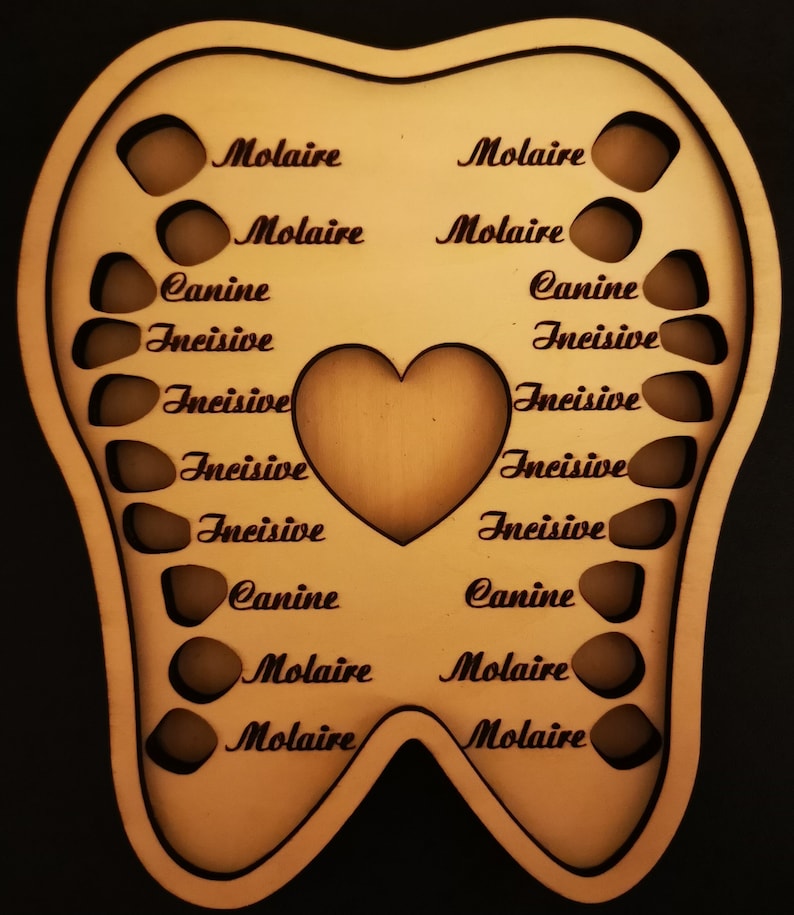 May include: A wooden tooth-shaped keepsake box with cut-out spaces for teeth. The words "Molaire", "Canine", and "Incisive" are etched into the wood. A heart shape is cut out in the center.