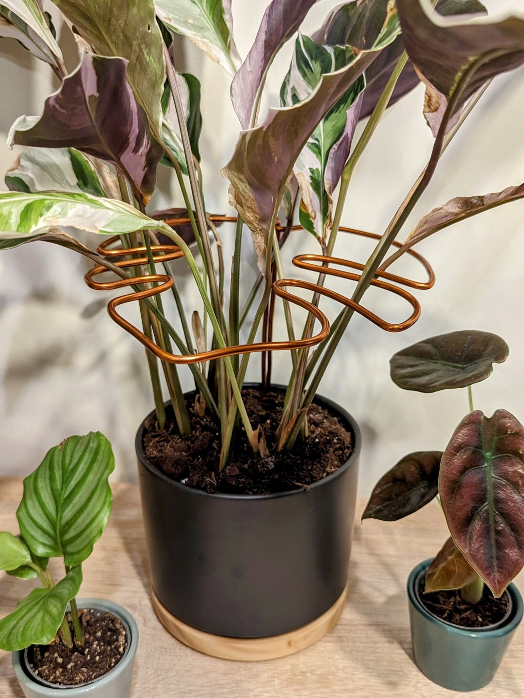 monstera hanging leaves Dlight Decor 180cm Hanging Monstera Vine with Turtle Leaves main image 1
