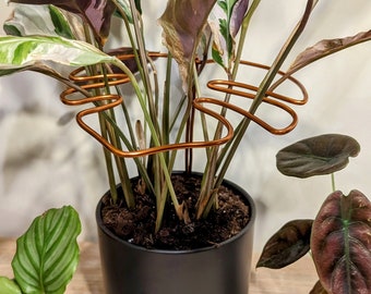 Monstera plant support | copper colored plant holder | Plant holder made of wire | climbing aid | trellis | Houseplant stakes