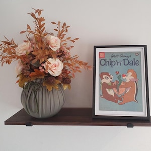 Vintage Framed Prints from Classic Chip 'n' Dale Disney Comics