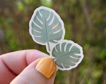 Monstera Leaf Sticker for Laptop Hydroflask Stickers Pack Sheet Book Custom Plant Stickers