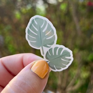 Monstera Leaf Sticker for Laptop Hydroflask Stickers Pack Sheet Book Custom Plant Stickers