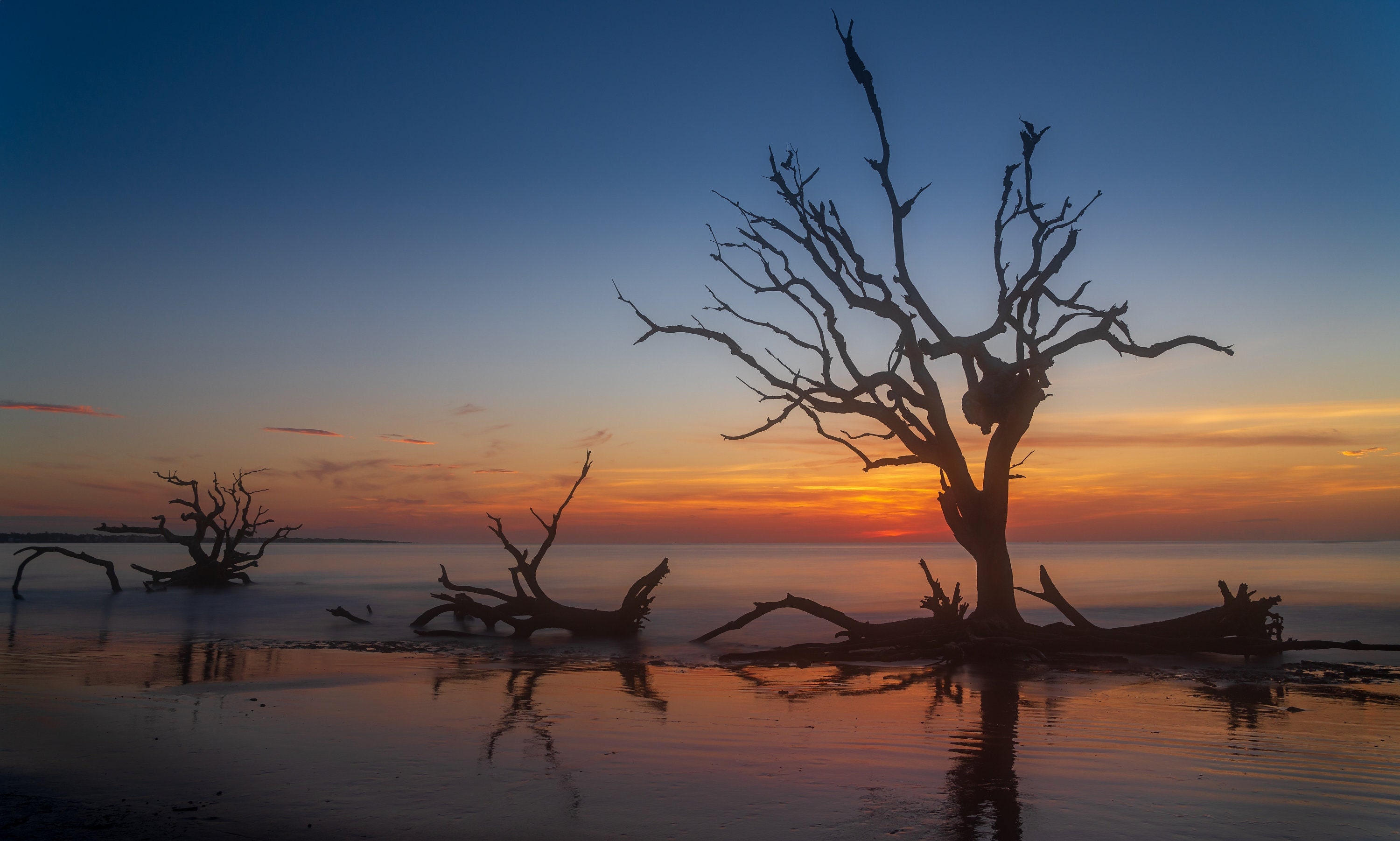 Jekyll Island Driftwood Beach Sunrise - Etsy, image size:3000x1802