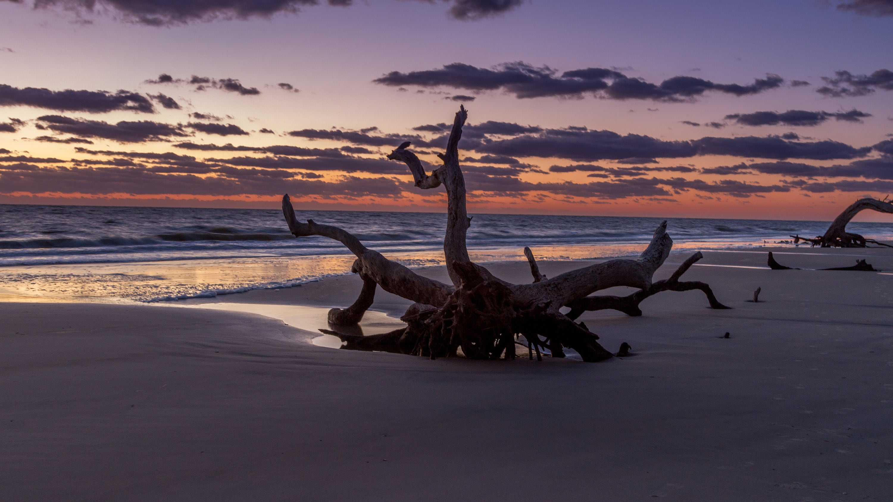 Jekyll Island Driftwood Beach Sunrise Early Blue Hour - Etsy, image size:3000x1688