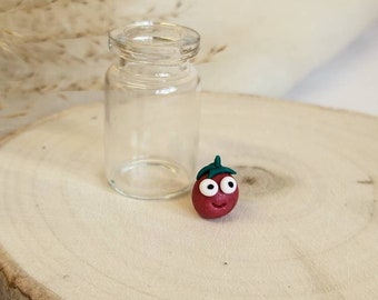 PET TOMATOE funny gift boyfriend gift girlfriend gift polymer clay pet funny gift novelty gift Christmas present novelty gift polymer pet