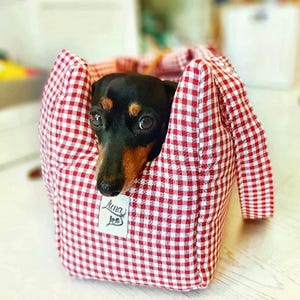 sac, porte-bébé, petit chien, tissu coton Vichy, rouge et blanc, confortable, lavable, fait main, pour voyage, vie urbaine