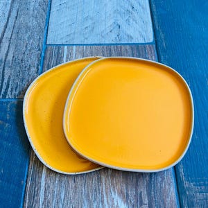 2 Flat ceramic plates in the shape of pebbles with a stoneware rim, small plate, tray, handmade pottery display stand, tableware