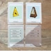 3D Shapes in the Real World Printable Flashcards for Kids With ...