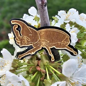 Rhinoceros Beetle Acrylic and Wood pin