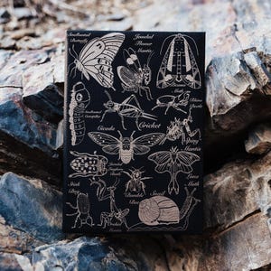 Cuaderno de insectos o diario de bichos