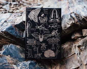 Insect Notebook or Bug Journal
