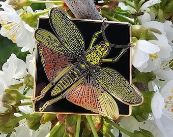 Pin de esmalte duro de saltamontes de algodoncillo verde