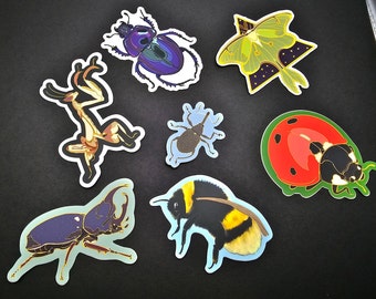 Op de afbeelding: Een set van negen insectenstickers met verschillende soorten, waaronder een groene lunamoth, een rode lieveheersbeestje, een zwart-gele hommel, een bruine hertenkever, een groene bidsprinkhaan en een bruine snuitkever. De stickers zijn gedrukt op wit papier en hebben een glanzende afwerking.