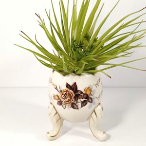 May include: A white ceramic egg-shaped planter with three legs and a floral design featuring brown and yellow roses. The planter is filled with a green air plant.
