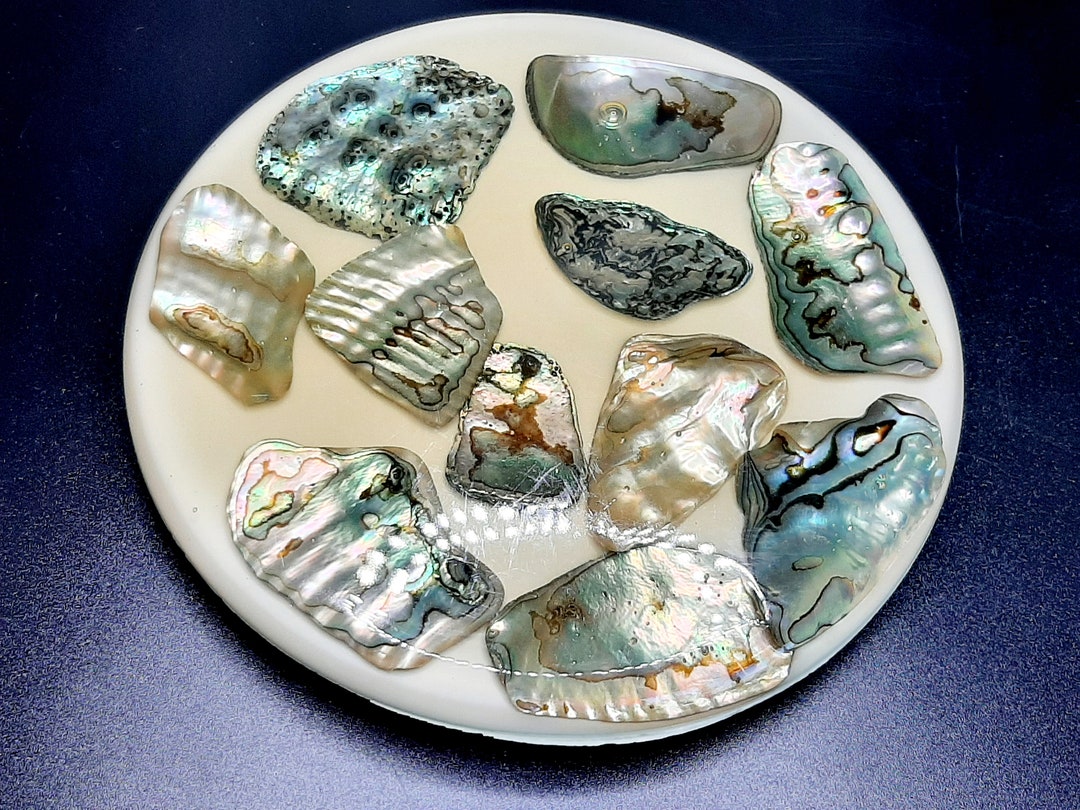 Exquisite Vintage Abalone Shell Trivet by Wondermold Etsy