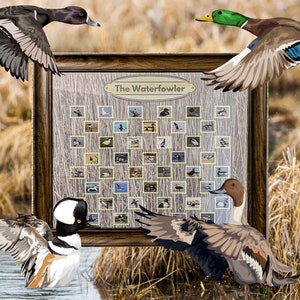 The Waterfowler Bucketlist - Duck Hunting all 43 North American Species