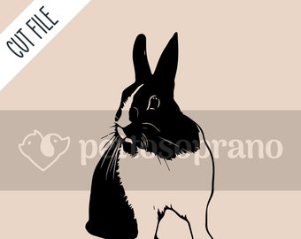 Barracuda Fish Svgpngaiepsdxfjpg Digital Download File - Etsy