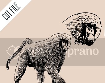 Baboon Instant Digital Downloadable File for Silhouette,Clipart,Vector,Cricut.In Svg,Dxf,Png,Jpg,Ai,Eps Format