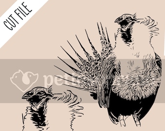 Greater sage-grouse Instant Digital Downloadable File for Silhouette,Clipart,Vector,Cricut.In Svg,Dxf,Png,Jpg,Ai,Eps Format.