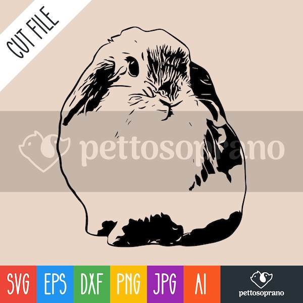 Holland Lop Bunny Svg - Etsy