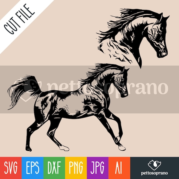 Arabian Horse Instant Digital Downloadable File for Silhouette,Clipart,Vector,Cricut.In Svg,Dxf,Png,Jpg,Ai,Eps Format