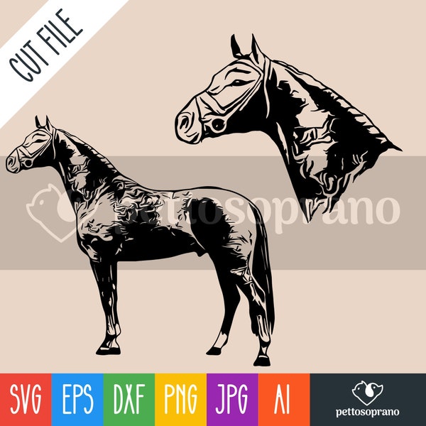 Warmblood Horse Instant Digital Downloadable File for Silhouette,Clipart,Vector,Cricut.In Svg,Dxf,Png,Jpg,Ai,Eps Format