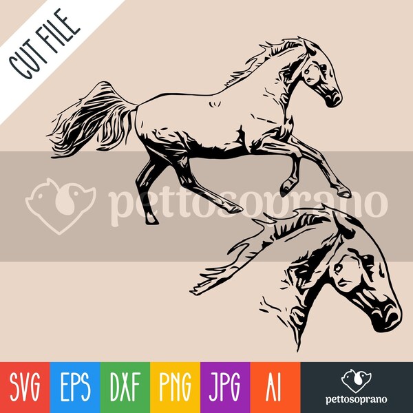 Lipizzaner Horse Instant Digital Downloadable File for Silhouette,Clipart,Vector,Cricut.In Svg,Dxf,Png,Jpg,Ai,Eps Format.