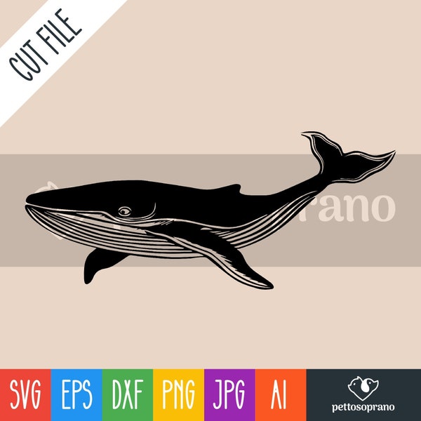 Blue whale Instant Digital Downloadable File for Silhouette,Clipart,Vector,Cricut.In Svg,Dxf,Png,Jpg,Ai,Eps Format