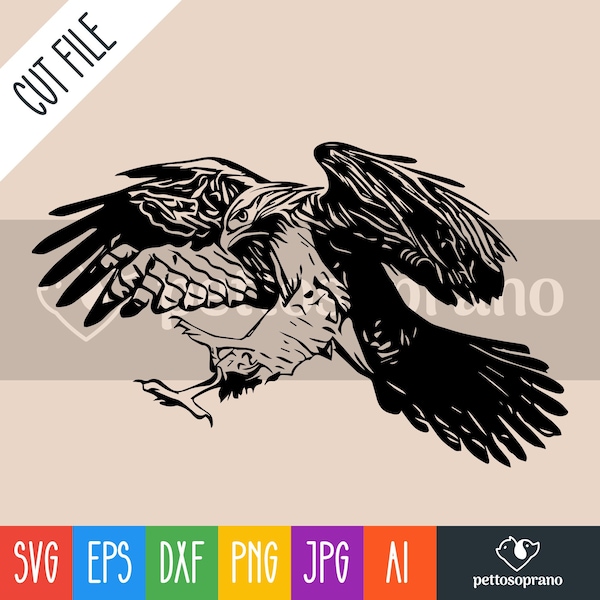 Hawk Bird SVG,Png,Ai,Eps,Dxf,Jpg Digital Download File Silhouette,Clipart Vector Cricut Cut