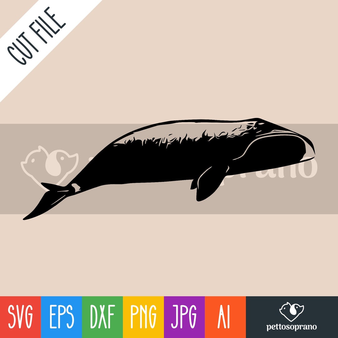 Bowhead Whale Instant Digital Downloadable File for - Etsy