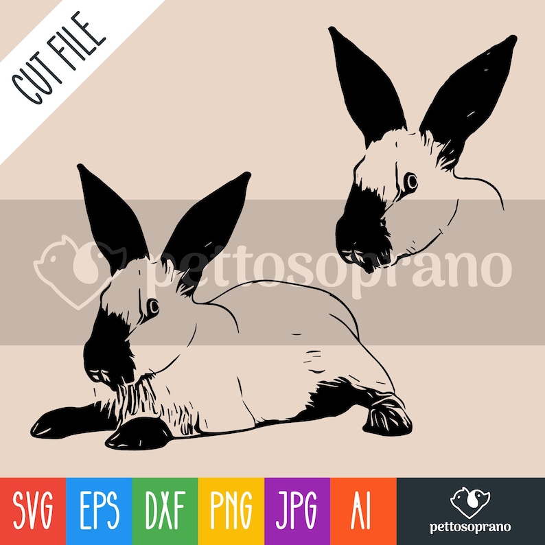 Californian rabbit Instant Digital Downloadable File for Silhouette,Clipart,Vector,Cricut.In Svg,Dxf,Png,Jpg,Ai,Eps Format image 1