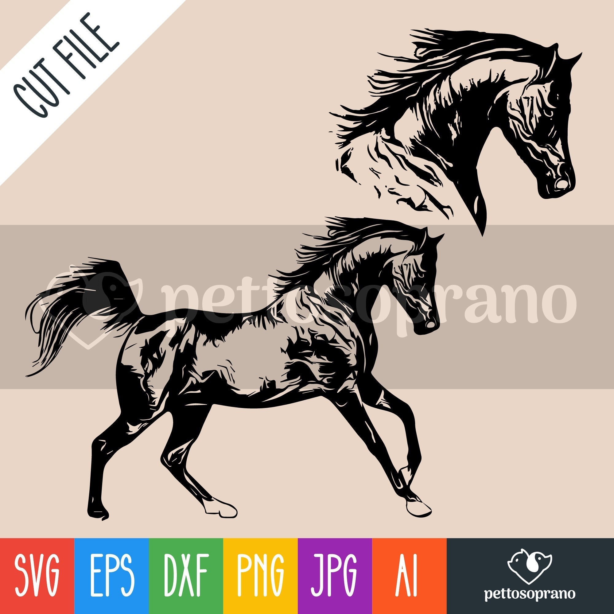 Arabian Horse Instant Digital Downloadable File