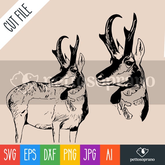 Pronghorn Silhouette