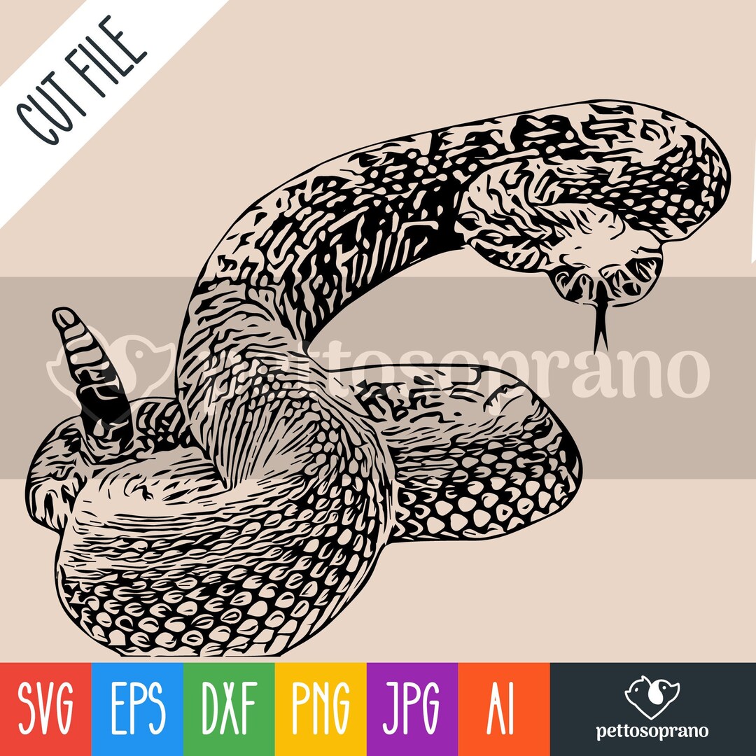 Rattle Snake Svg,png,ai,eps,dxf,jpg Digital Download File Silhouette