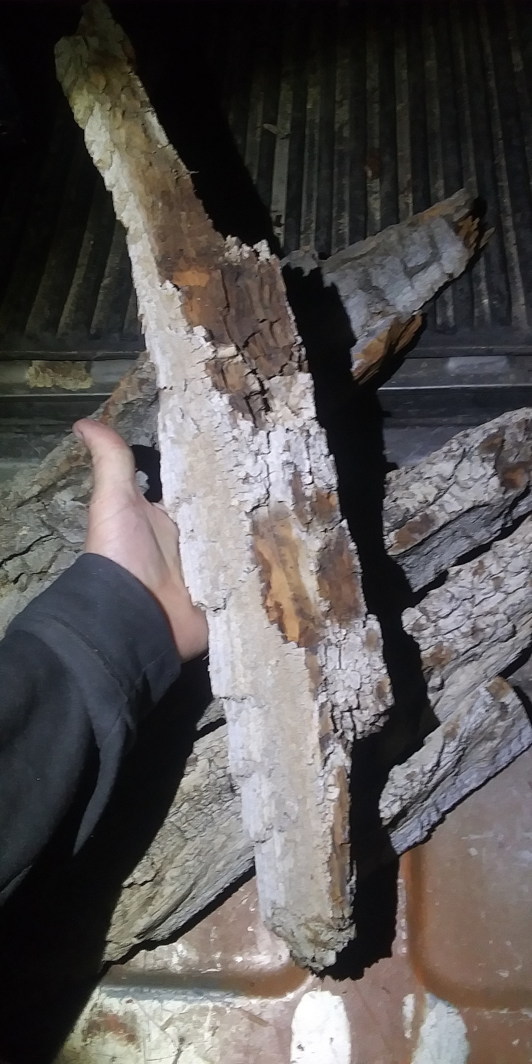 A great place to buy Cottonwood Bark Woodcarving Illustrated