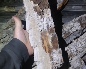 Ethically sourced cottonwood bark