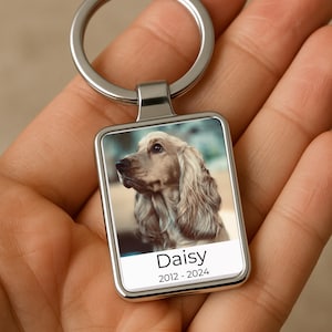 May include: A silver-colored rectangular keychain with a photo of a Cocker Spaniel. The dog has long, wavy, light brown fur. The name "Daisy" and the years "2012-2024" are printed in black on a white background below the photo.