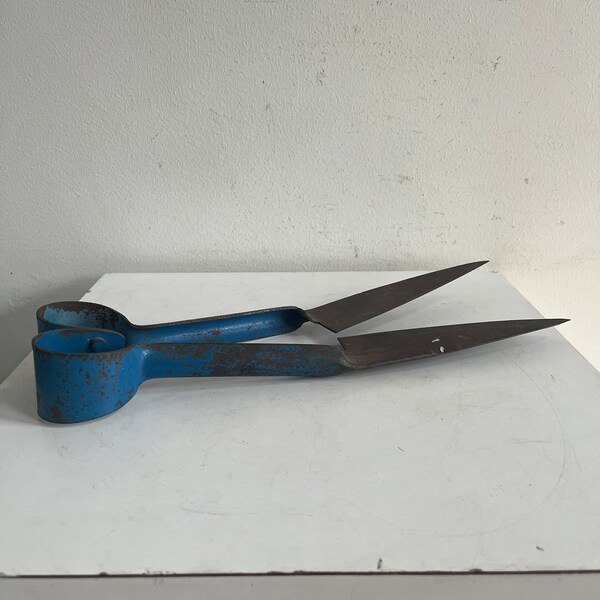 Old Blue Metal Shears or Scissors