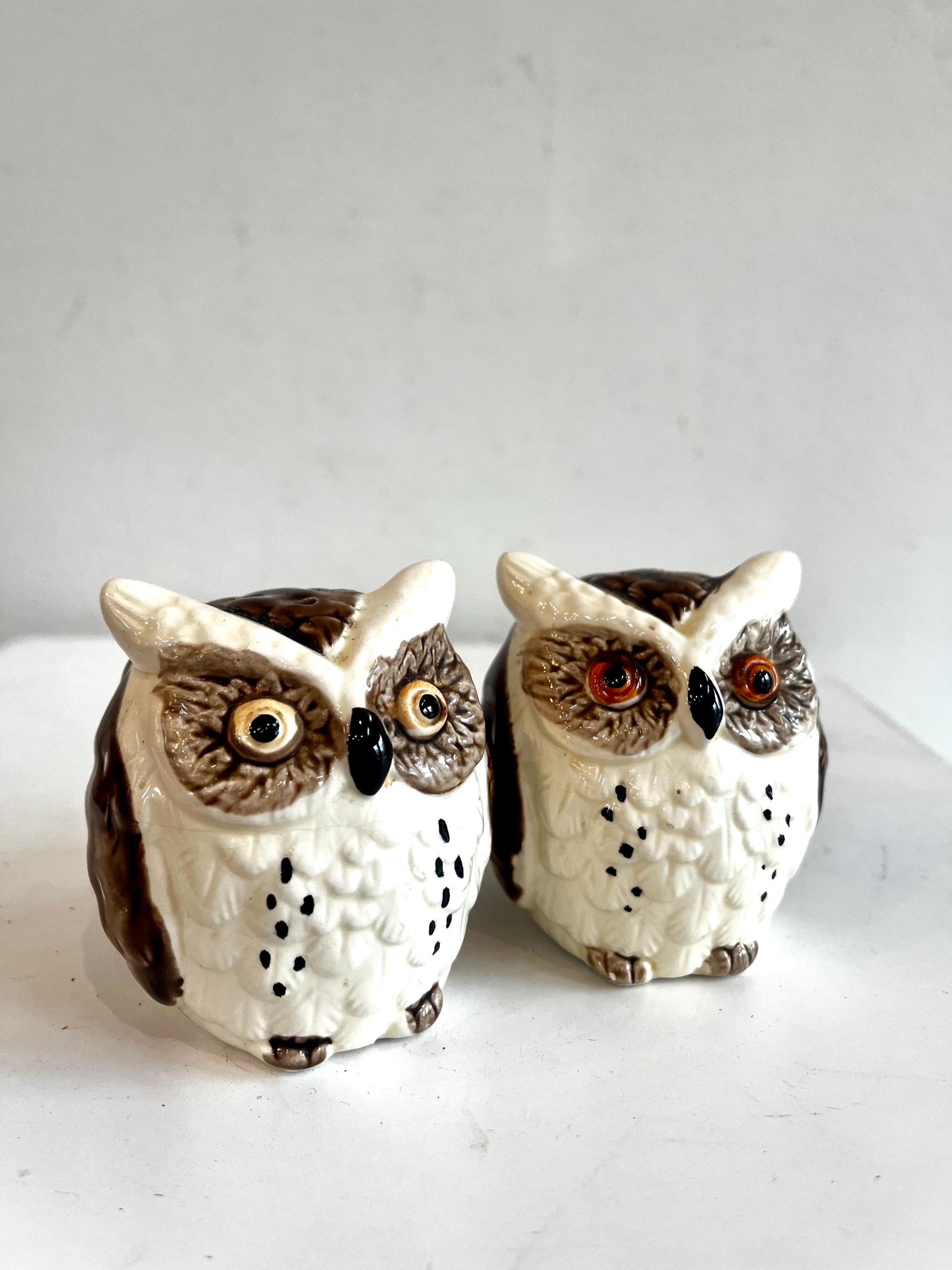Pair of Glazed Ceramic Owl Salt and Pepper Shakers