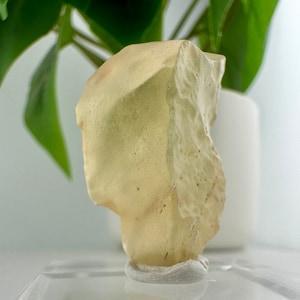 Libyan Desert Glass Specimen