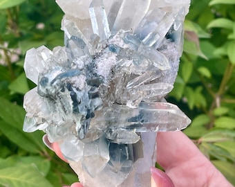 Extra Large Blue Tara Quartz with Blue Amphiboles Crystal Cluster Statement Piece