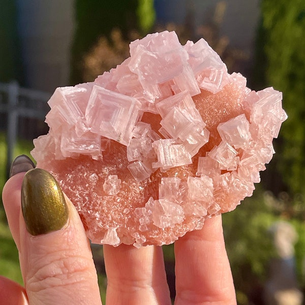 Bubblegum Pink Halite Crystal, Owens Lake California