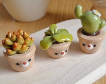 succulents bear desk buddys - handmade polymer clay set