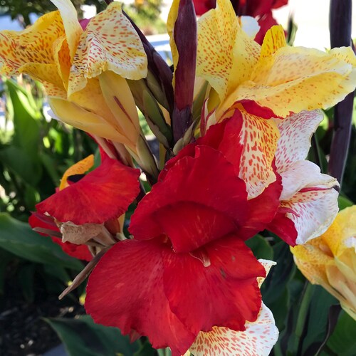 Anal jinsiy aloqa Prezervativ bilan HD porno videolar