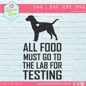 Labrador SVG | Hund svg | Lustiger Hund Spruch SVG | Hundemama png | Alle Lebensmittel müssen zum Testen von SVG ins Labor gehen | Labrador Kitchen Lustiges Schild |