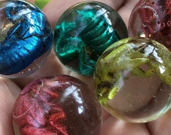 Cicada Marbles