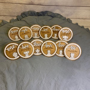 Marqueurs 3D d'étape importante pour bébé, animal de la jungle/marqueur bébé personnalisé/disques d'étapes mensuelles/accessoire photo bébé/faire-part de naissance