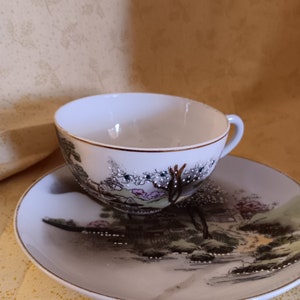 May include: A white teacup and saucer with a black and grey floral design. The design features a Japanese-inspired landscape with trees, a bridge, and a river.